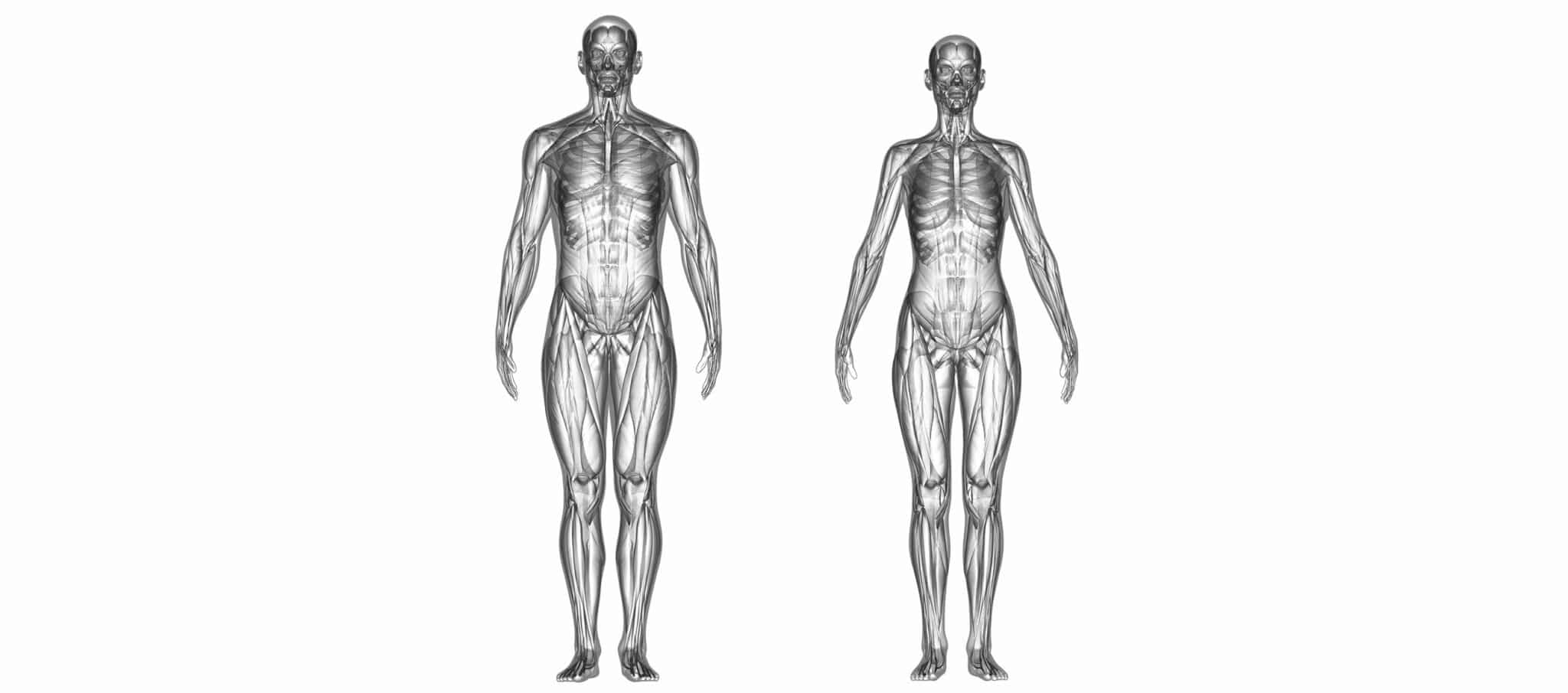 The aim of postural analysis is to determine how each individual works to enable the subject to reduce the excess strain.